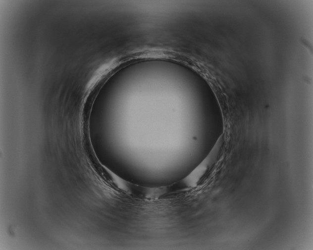 X0000097870296200803281208