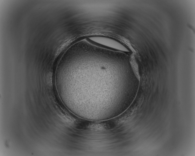 X0000097870299200803281207