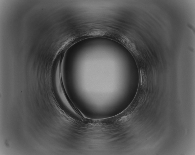 X0000097870300200803281207