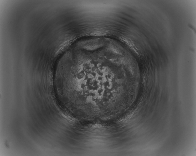 X0000097870303200803281207