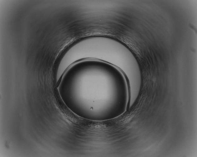 X0000097870304200803281207