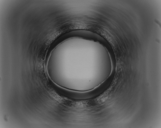 X0000097870305200803281207