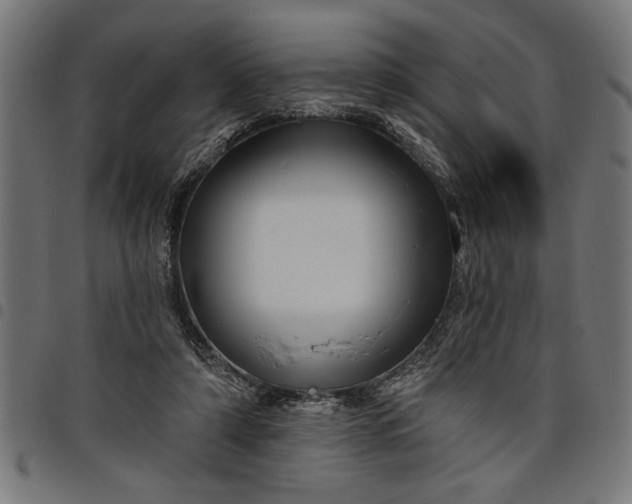 X0000097870306200803281207