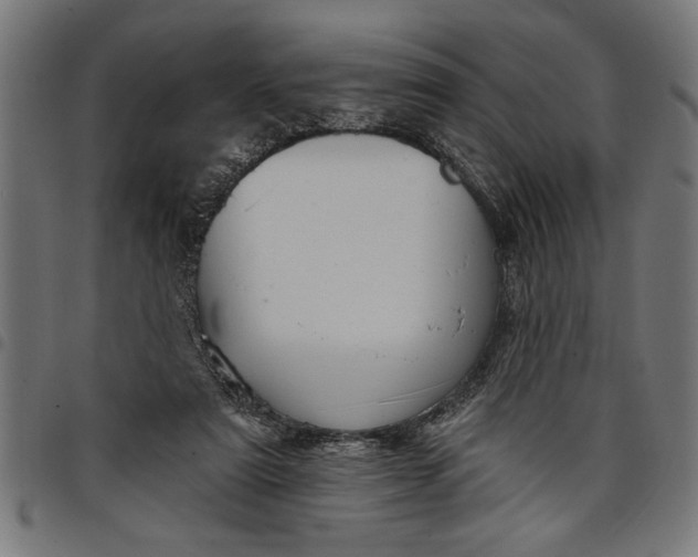 X0000097870307200803281207