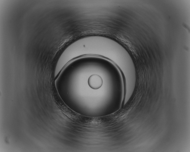 X0000097870308200803281207