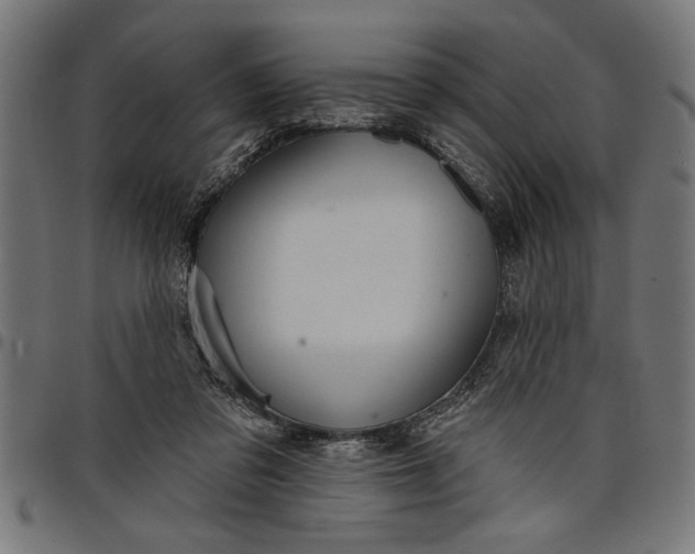 X0000097870309200803281207