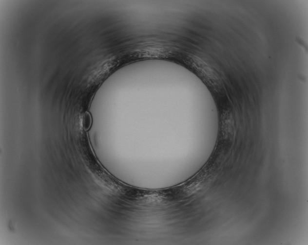X0000097870310200803281207