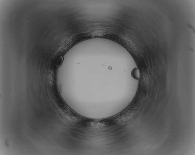 X0000097870311200803281207