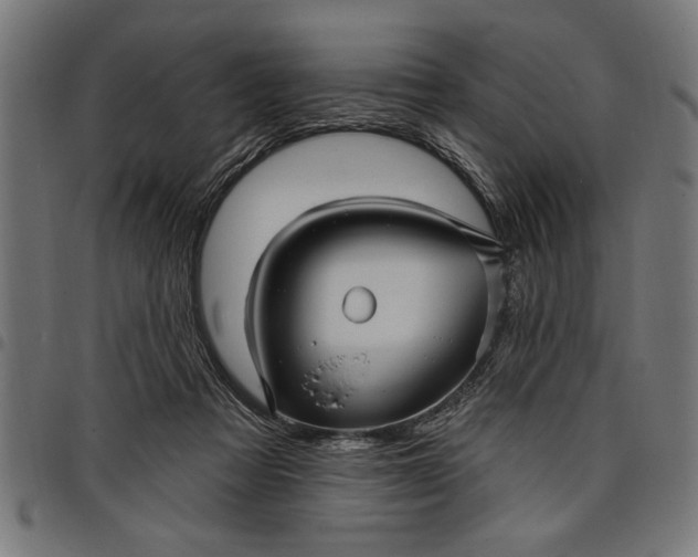X0000097870313200803281207
