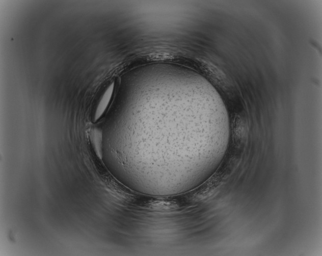 X0000097870315200803281207