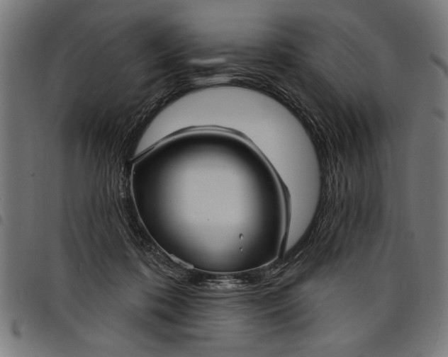 X0000097870316200803281207