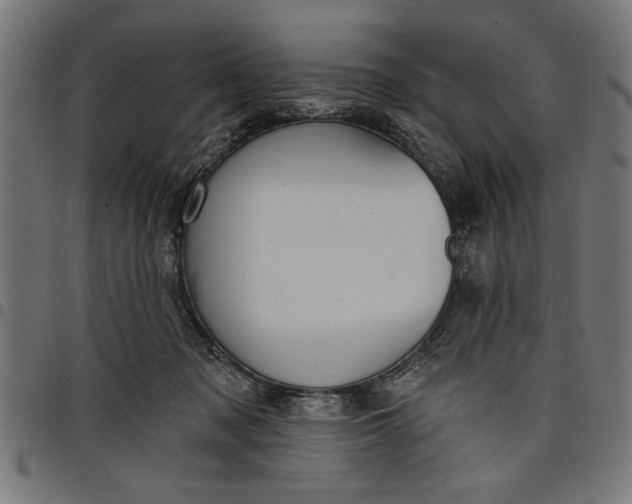 X0000097870317200803281207