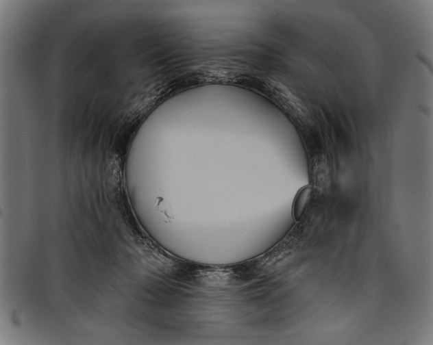 X0000097870318200803281207