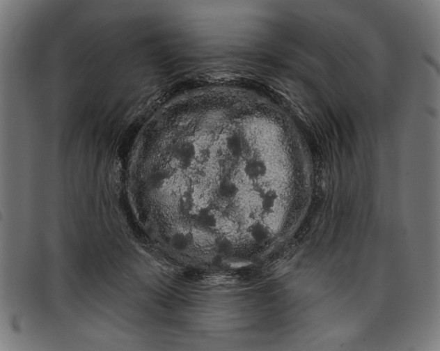 X0000097870319200803281207