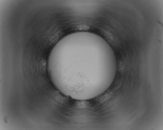 X0000097870321200803281207