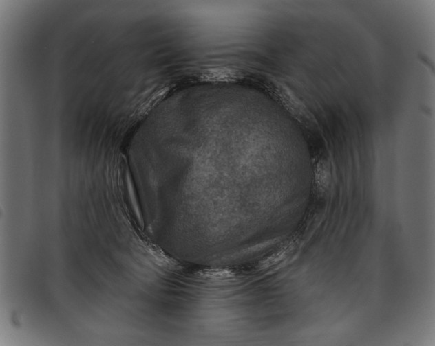 X0000097870322200803281207