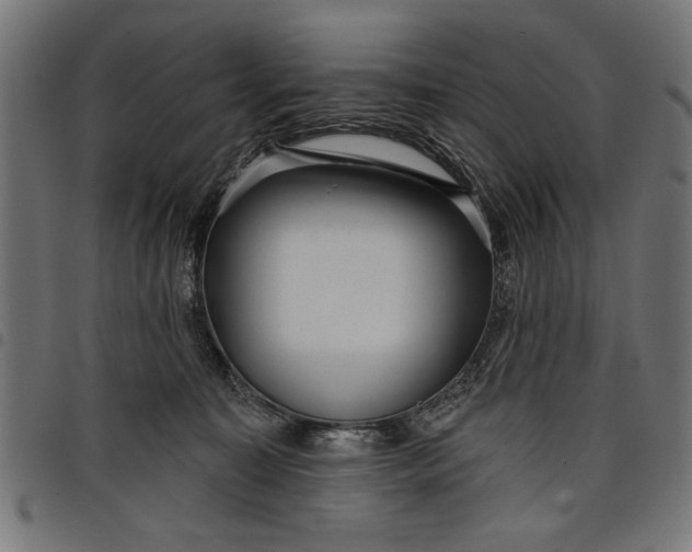 X0000097870323200803281207