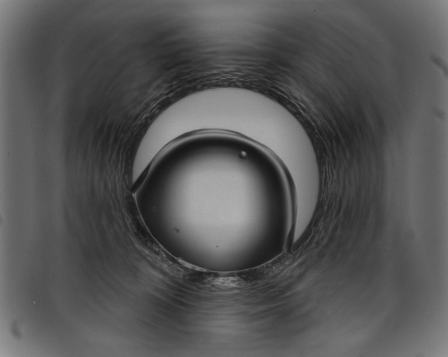 X0000097870324200803281207