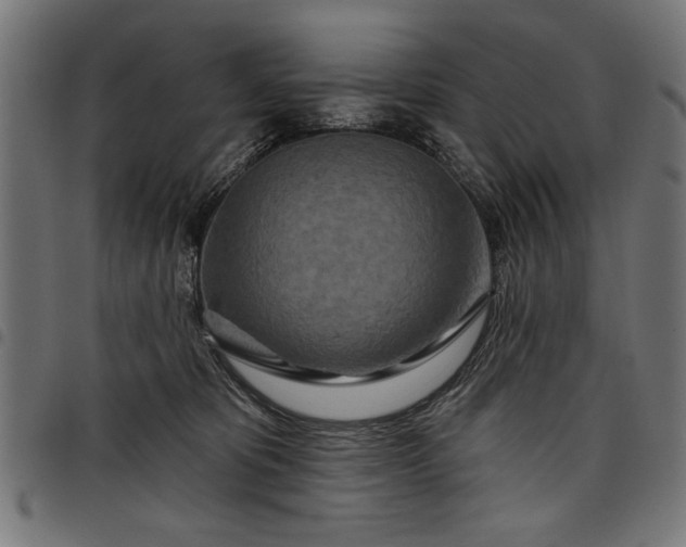 X0000097870325200803281207