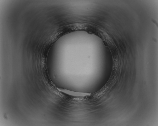 X0000097870326200803281207