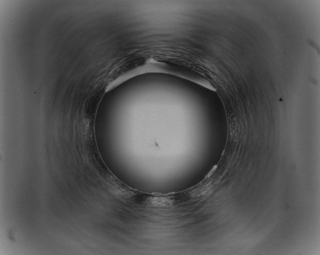 X0000097870327200803281207