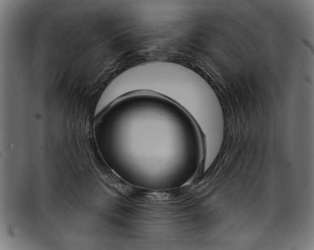 X0000097870328200803281207