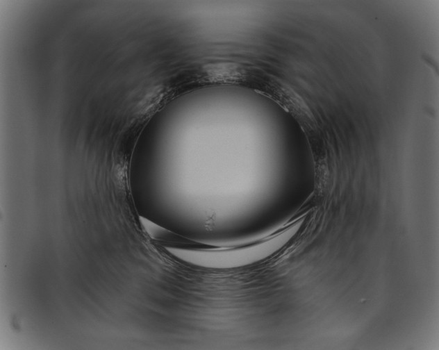 X0000097870329200803281207