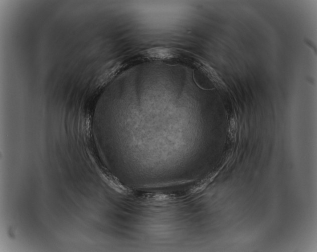 X0000097870330200803281207