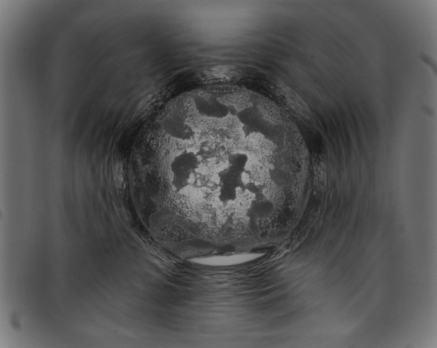 X0000097870331200803281207