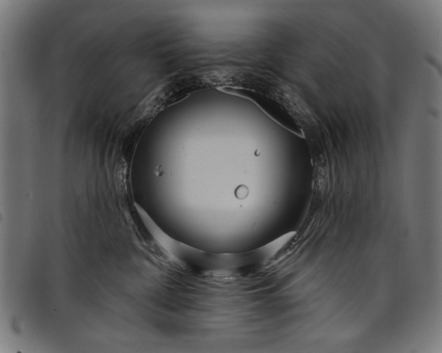 X0000097870332200803281207