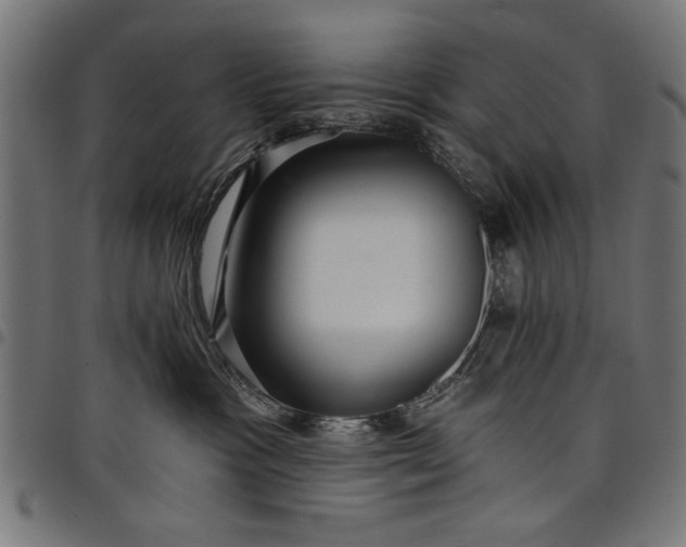 X0000097870333200803281207