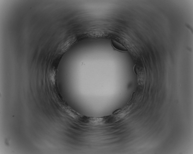 X0000097870334200803281207