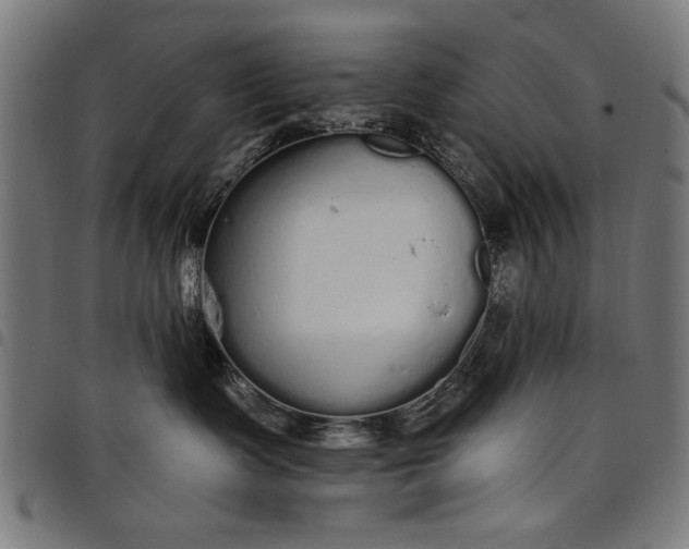 X0000097870335200803281207