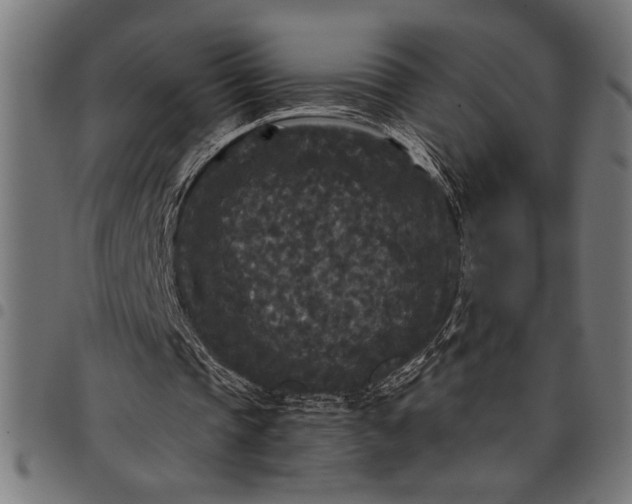 X0000097870337200803281206