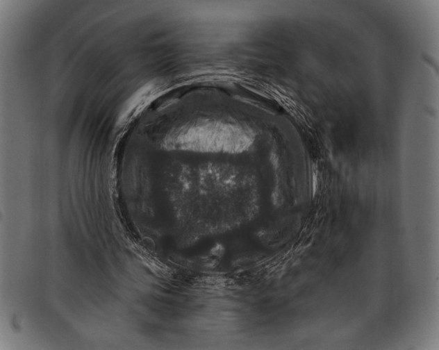 X0000097870339200803281206