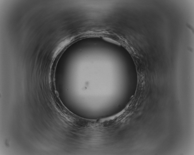 X0000097870340200803281206