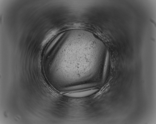 X0000097870341200803281206