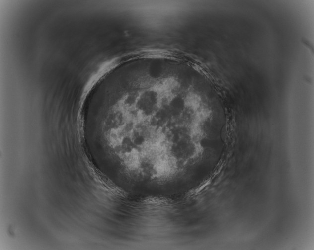 X0000097870343200803281206