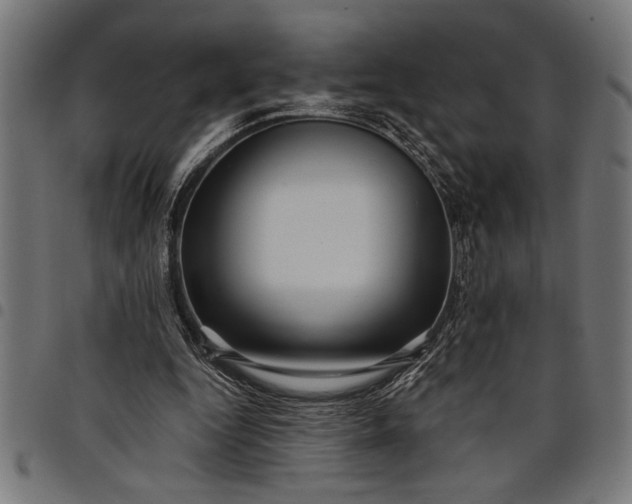 X0000097870344200803281206