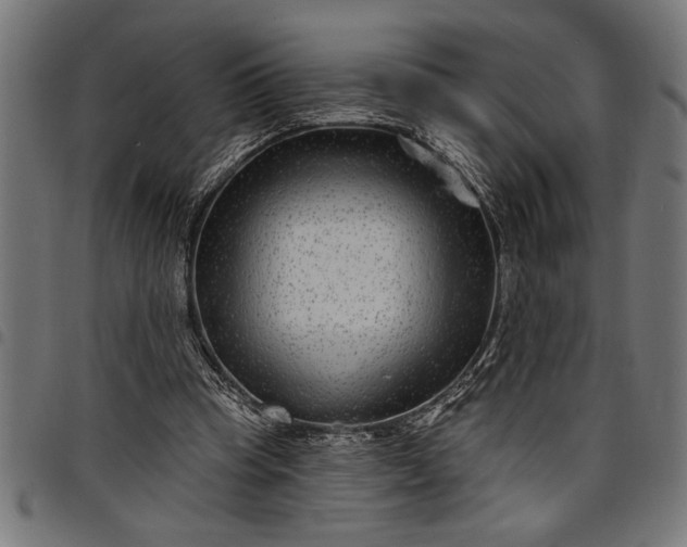 X0000097870345200803281206