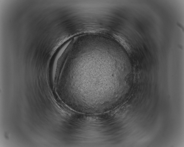 X0000097870346200803281206