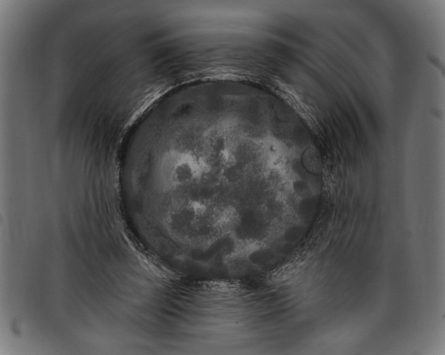 X0000097870347200803281206