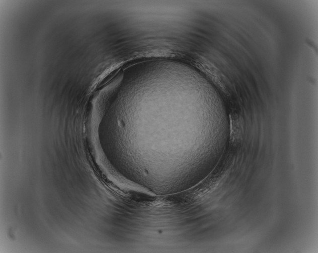 X0000097870348200803281206