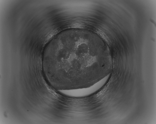 X0000097870349200803281206