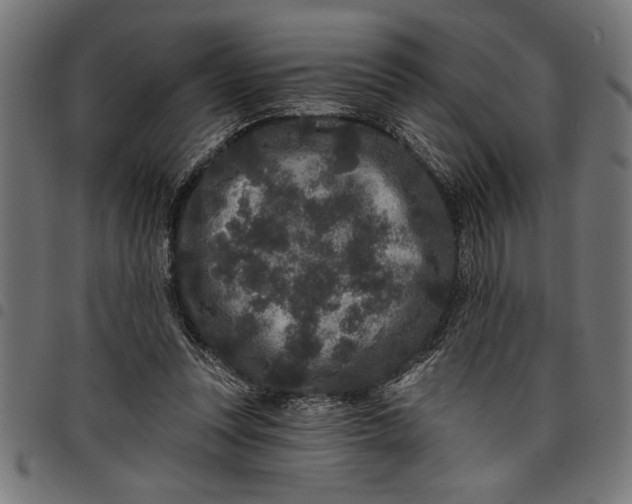 X0000097870351200803281207