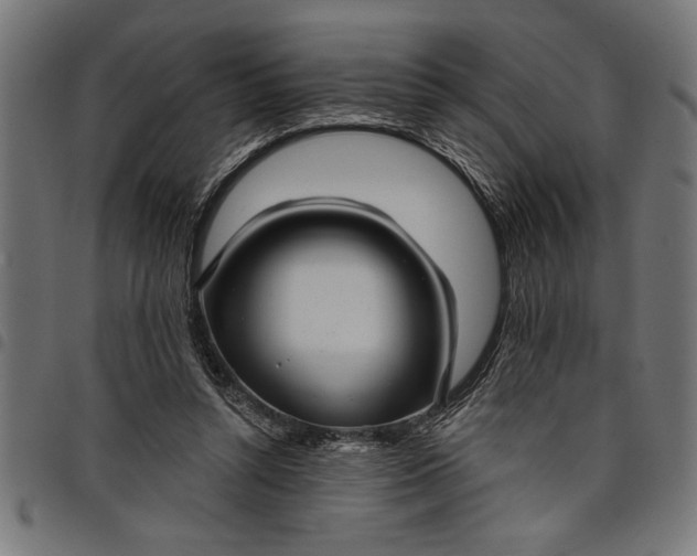 X0000097870352200803281207