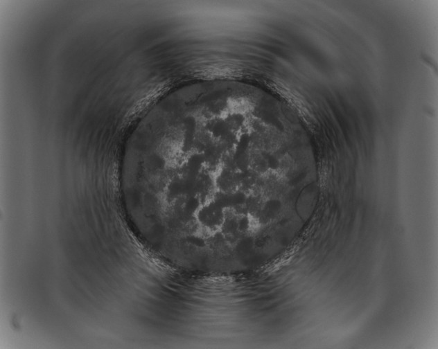 X0000097870353200803281207