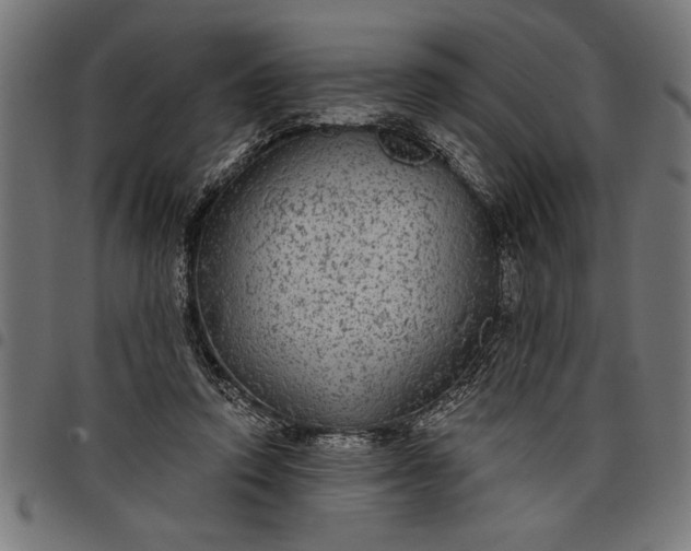 X0000097870354200803281207