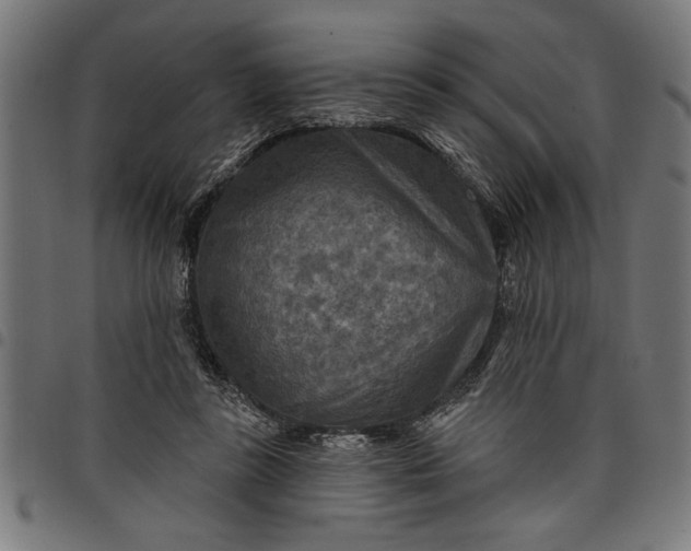X0000097870355200803281207