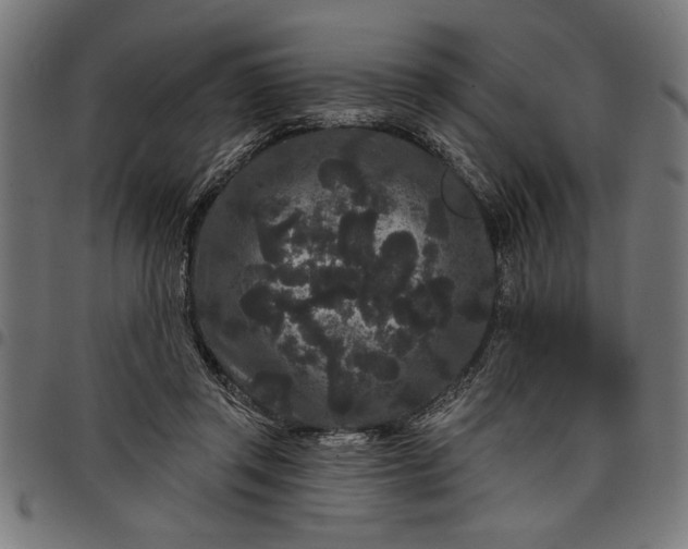 X0000097870357200803281207